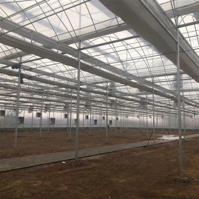 Polytunnel cu cadru de oțel